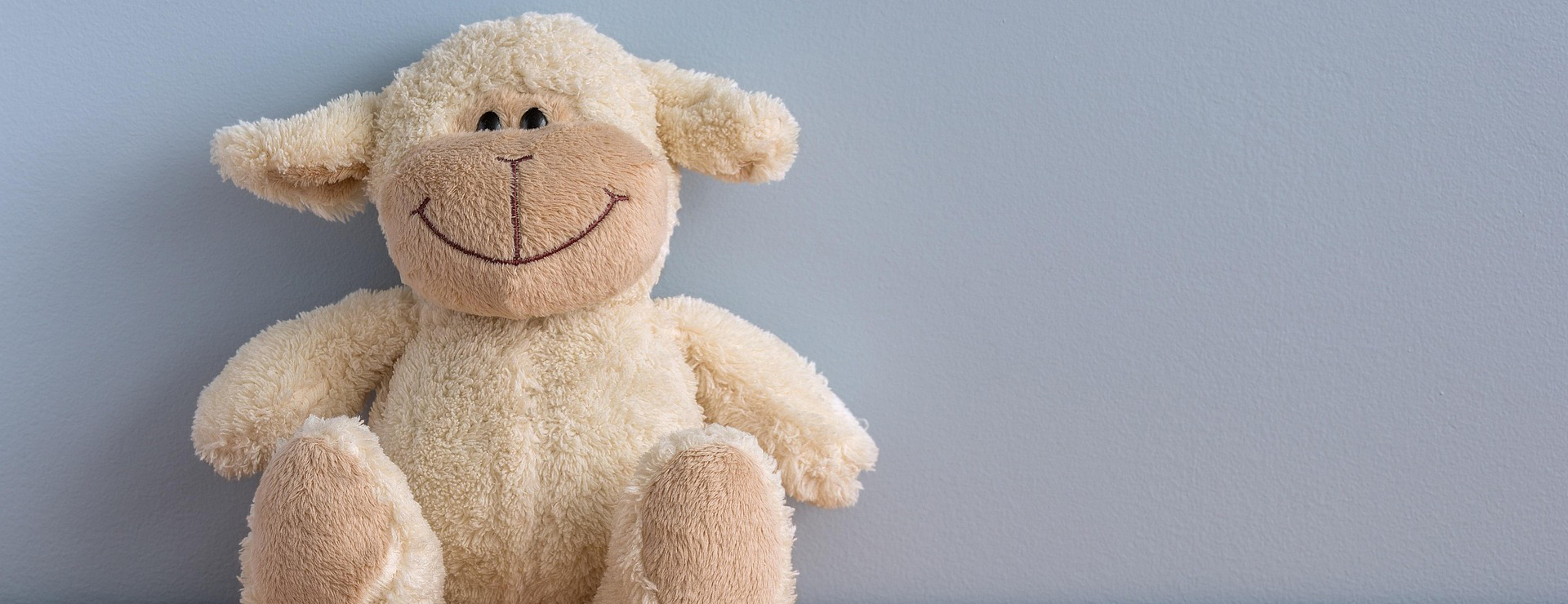 Plush Toys Store -Plush Toys Store happy 1281590 1920