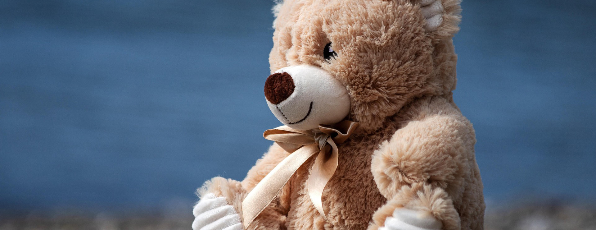 Plush Toys Store -Plush Toys Store teddy bear 6932239 1920